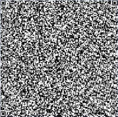 1758697223292247.jpg